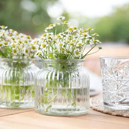 Sea Twin 1 Appartement Zingst